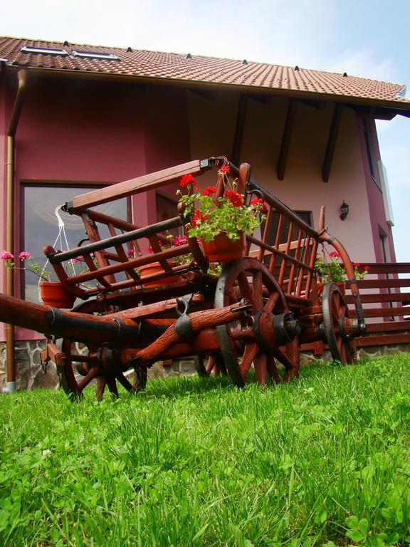 Colt De Rai Hotel Covasna Bagian luar foto