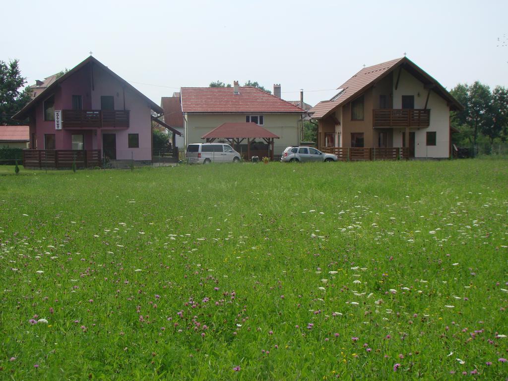 Colt De Rai Hotel Covasna Bagian luar foto